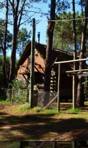 Cabaña del bosque en la paloma